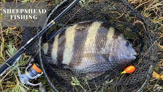 Sheepshead Fishing  Seabrook TX  11092020 [upl. by Nielson]