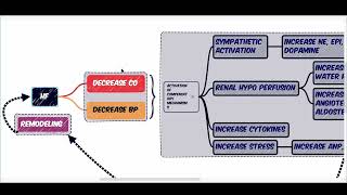 PATHOPHYSIOLOGY OF HEART FAILURE  COMPENSATORY MECHANISMS  RAAS  SNS  CYTOKINES [upl. by Felty]