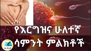 የእርግዝና ሁለተኛ ሳምንት 2 Weeks Pregnant What to Expect [upl. by Ranip]