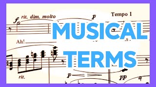 Musical Terms and their Meanings [upl. by Eisinger]