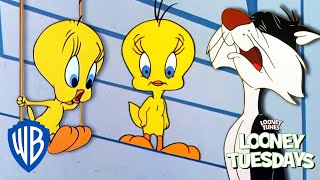 Looney Tuesdays  Did Tweety Taw a Putty Tat  Looney Tunes  WB Kids [upl. by Heyer]