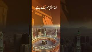 Madina Jana ko dill chata hai sub dwa kra [upl. by Winne]