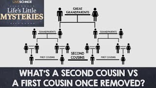 Whats a Second Cousin vs a First Cousin OnceRemoved [upl. by Clercq134]