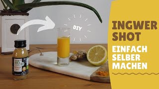 Ingwer Shot Rezept  Einfach selber machen und Müll sparen  Zero Waste Küche [upl. by Ayikaz]