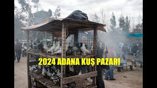 2024 ADANA KUŞ PAZARI [upl. by Teerell]