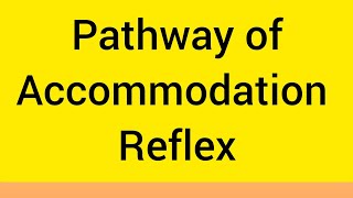 Accommodation Reflex PathwayComplete Explaination [upl. by Nelson]