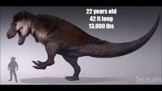 T rex growth stages revised [upl. by Rep]