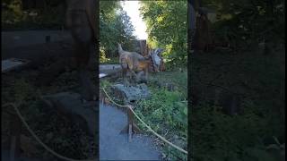 Helsinki Zoo 🦕🦖dinasaur shorts shortsfeed trending youtubeshorts [upl. by Elsie]