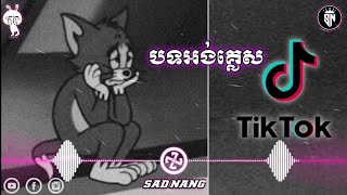 បទអង់គ្លេសសេដល្បីក្នុង tik tok 2022  Song english in tiktok Sad [upl. by Ashil633]