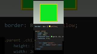 Border In CSS CSS  HTML  coding html css webdesign [upl. by Nnaear]