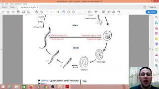 Nematoda  3  Ancylostoma duodenale [upl. by Siro]