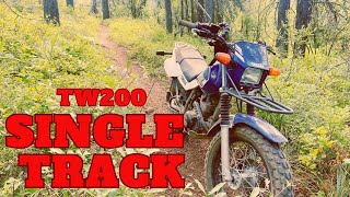 Can my TW200 Handle Technical Single Track [upl. by Kcirdor988]