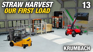 PELLETING AND PALLETISING  Krumbach  Farming Simulator 22  Episode 13 [upl. by Fredella]