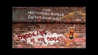 Brooklyn In My Bones Acoustic The Natural Born Schmoozers feat Angel Rissoff [upl. by Irv]