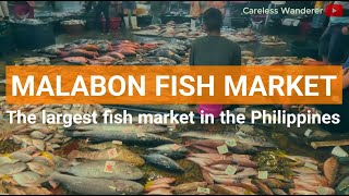 MALABON FISH MARKET  Largest fish market in the Philippines [upl. by Granese966]