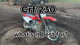 crf 230 whats it best for [upl. by Eeldivad]