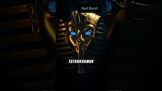 Mysteries of King Tutankhamuns Tomb 🏺✨ factburst [upl. by Eniluap211]