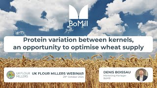 Protein variation between kernels opportunity to optimise wheat supply  UK Flour Millers Webinar [upl. by Tracey864]