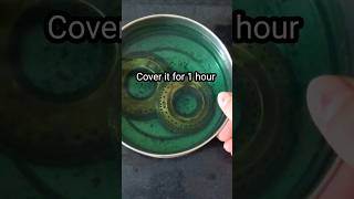 How To Easily Clean Gas Burner at Home  Kitchen Tips  shorts ytshorts trendingshorts [upl. by Aninep474]