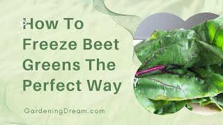 How To Freeze Beet Greens The Perfect Way [upl. by Ttenna]