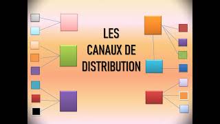 LES CANAUX DE DISTRIBUTION [upl. by Sloatman]