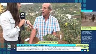 📺 La manzana reineta 🍏 de Valleseco en la TVC “Ponte al día” [upl. by Burgener686]