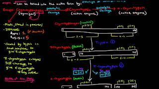 Enzyme Regulation Part 5 of 5  Covalent Modification  Irreversible [upl. by Leduar]