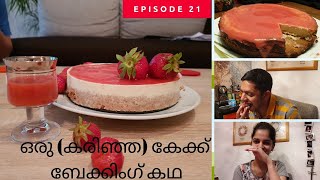 A lazy weekend in Germany  Malayalam vlog  Cake Baking went flop [upl. by Silado]