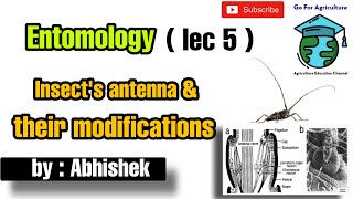 Insects Antenna  Its modifications  Learning trick  Entomology lec 5  Go For Agriculture [upl. by Iram754]