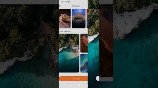 How to change home screen wallpaper in Android phones Quickskillmaster wallpaper shortvideo [upl. by Cassidy]