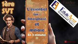 Lessentiel sur linterphase et la méiose en 3 minutesPremière spécialité SVT meiose méiose svt [upl. by Yknarf]