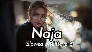 Naja slowed and reverb Naja song slowed reverb  Lofi song [upl. by Ecinahs]