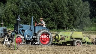 Lanz Bulldog D8506  Claas CHP410  Strohpressen · baling straw [upl. by Elson353]