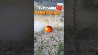 Exploding Pumpkins with Tannerite 🎃💥 [upl. by Rozanne]