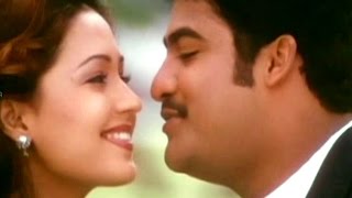 Allari Ramudu  Cheliya Cheliya Video Song  JrNTR Aarti Agarwal Gajala [upl. by Llenyl]