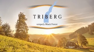 Triberg  absolute Black Forest [upl. by Leind]