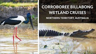 Corroboree Billabong Wetland Cruises  Mary River NT Australia [upl. by Armalda103]