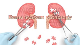 Renal system pathology 2nd lecture [upl. by Laerol61]