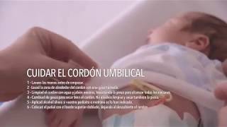 Higiene y cuidado del cordón umbilical [upl. by Thurlough452]