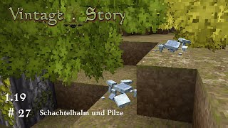 Schachtelhalm und Pilze LP Vintage Story 119 deutsch 027 [upl. by Mariano]