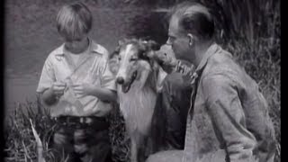 Lassie  Episode 6  quotThe Convictquot Originally broadcast 10171954 [upl. by Oswell301]