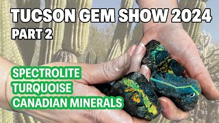 Tucson gem show part 2  Spectrolite Turquoise amp Canadian Minerals [upl. by Llerreg]