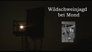 Wildschweinjagd bei Mond [upl. by Aicre]