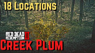 Creek Plum NEW Locations All Day Cycles Red Dead Redemption 2 [upl. by Neumeyer]