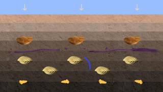 Vidéo fossilisation [upl. by Nguyen]