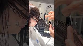 【カット動画】リアルお客様スタイル！ レイヤーカット レイヤースタイル カット動画 カット講習 ヘアカット haircut hairstyle [upl. by Hovey]