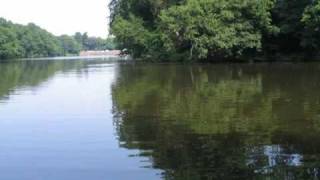 Bay Malton Angling Club Waters [upl. by Fern955]