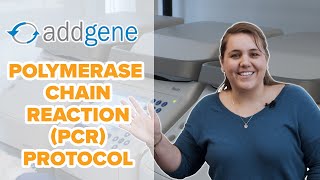 Polymerase Chain Reaction PCR Protocol [upl. by Haimaj894]