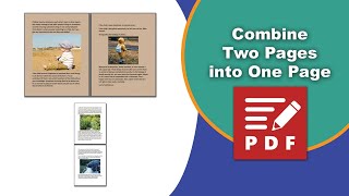 How to combine 2 pdf pages into 1 page in PDFXChange Editor [upl. by Deerdre819]