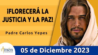 Evangelio De Hoy Sábado 21 Octubre 2023 l Padre Carlos Yepes l Biblia l Mateo 11 2530 l Católica [upl. by Hnahc]